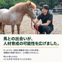 画像241