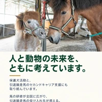 画像242