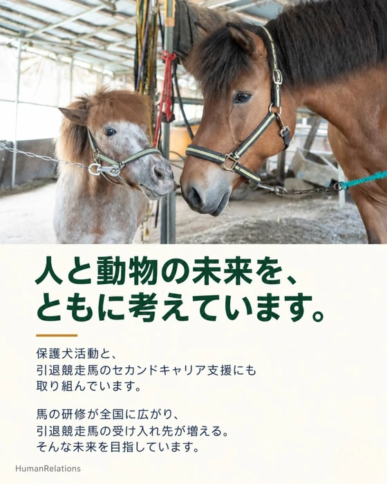 画像242