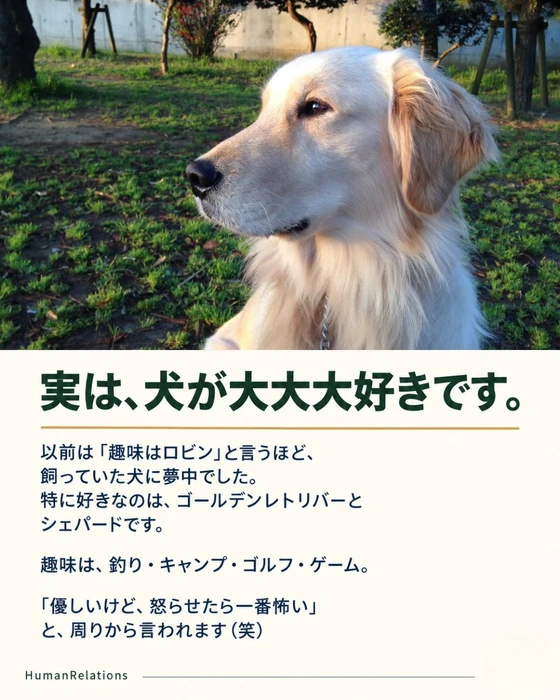 画像243