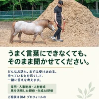 画像244