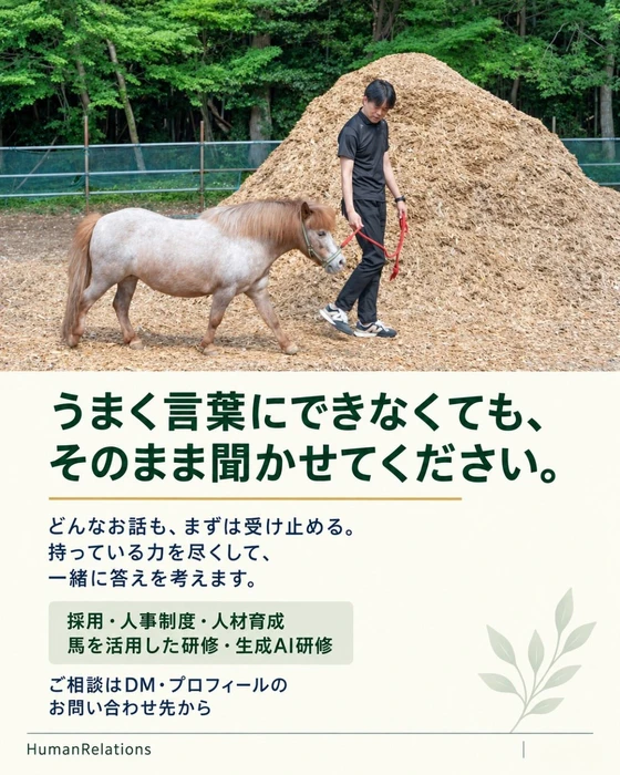 画像244