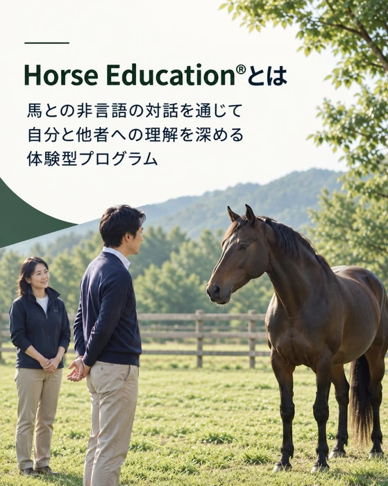 画像246