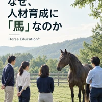 画像247