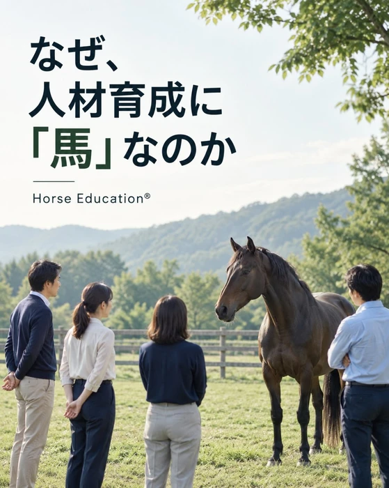 画像247