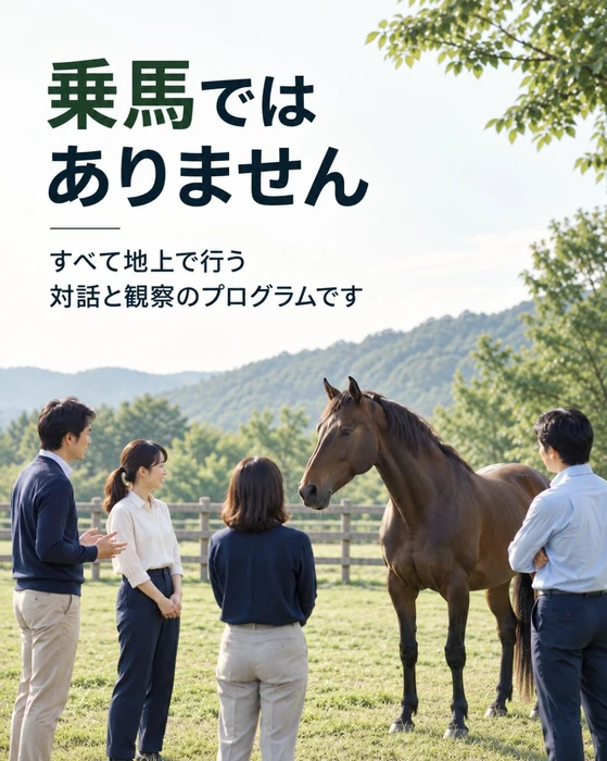 画像248