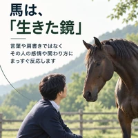 画像249