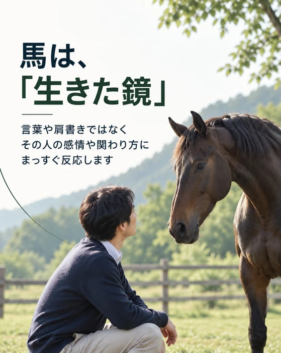 画像249