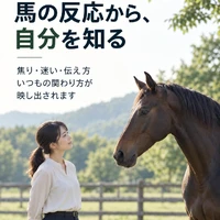 画像250