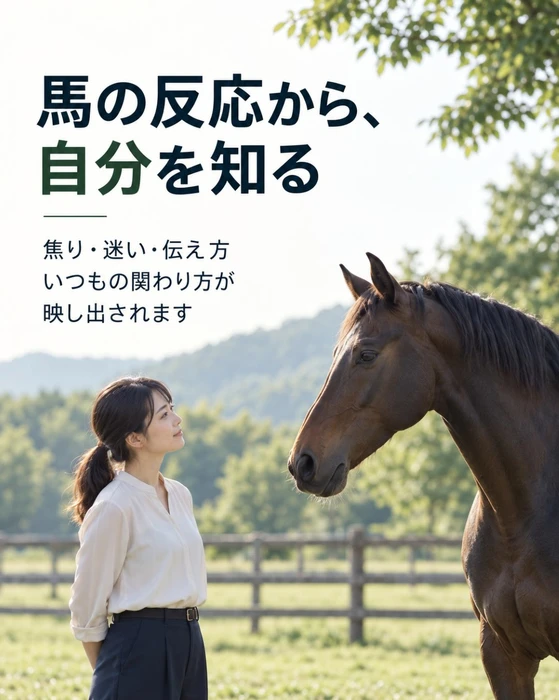 画像250