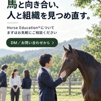 画像254