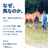 画像294