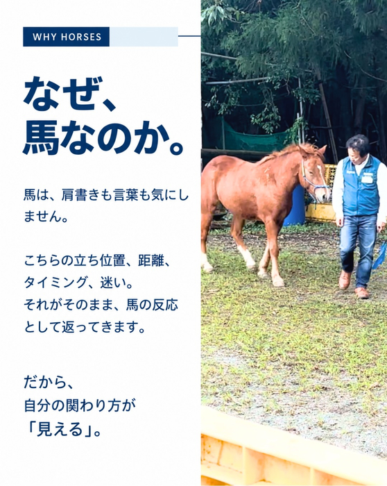 画像294