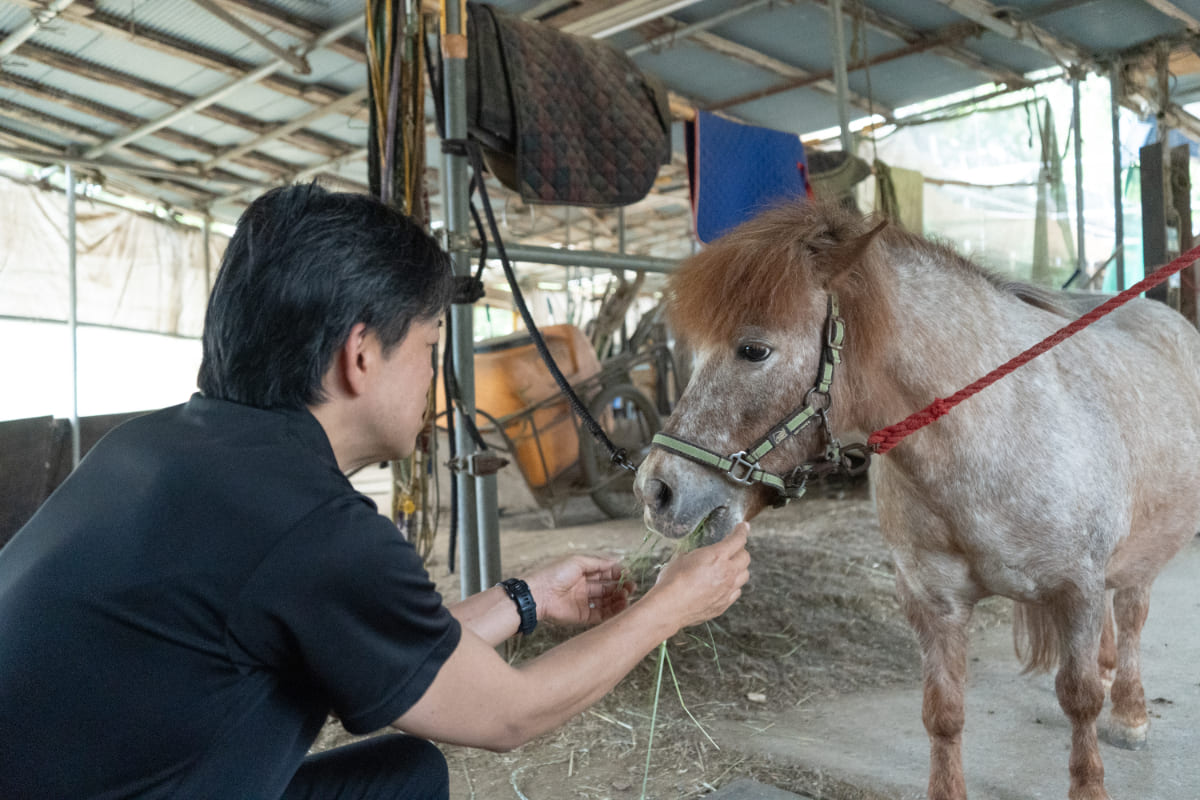 馬との非言語対話を活用した独自の体験型研修により、内面からの気づきと納得感の高い自己成長を実現します。